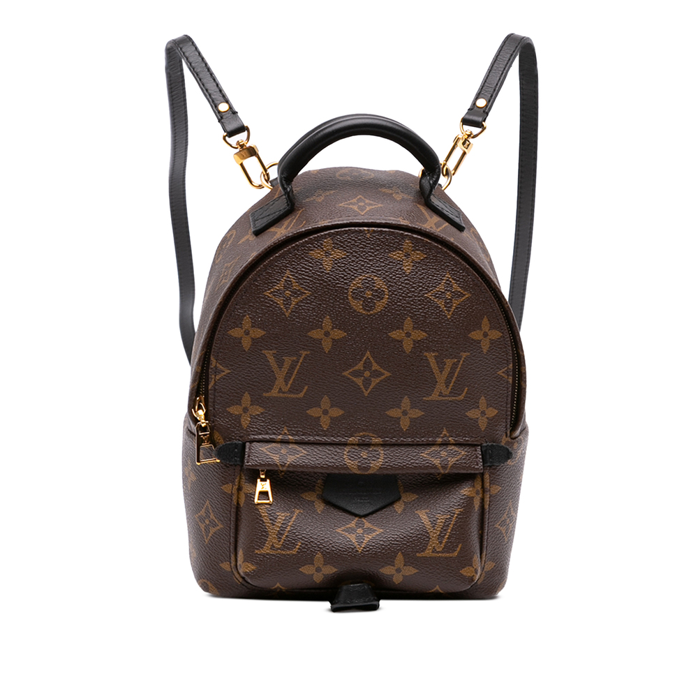 Pre-Loved Louis Vuitton Monogram Mini Palm Springs
